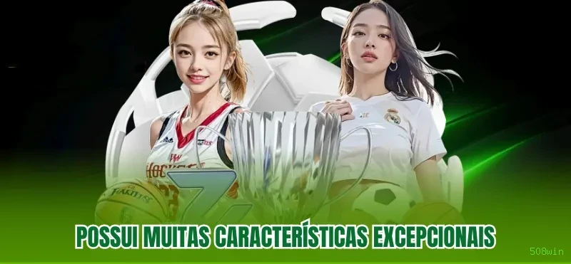 Programa VIP 508win